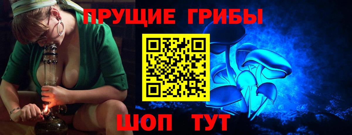 Псилоцибиновые грибы Cubensis  Псилоцибиновые грибы Psilocybine cubensis  Вход с VPN  Балтийск 